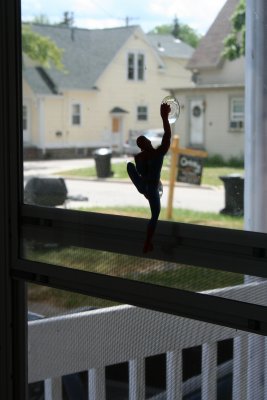 Spiderman Tries to Get Out...