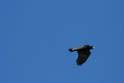 IMG_3904.JPG