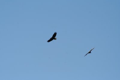 IMG_3927.JPG