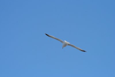 IMG_3972.JPG