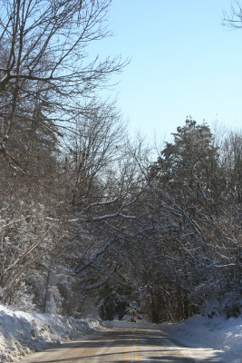 Lutz Park