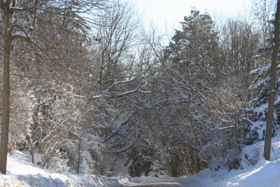 Lutz Park