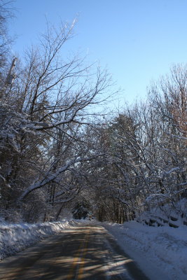 Lutz Park
