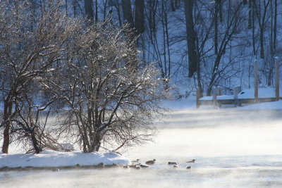Lutz Park