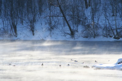 Lutz Park