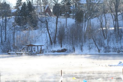 Lutz Park