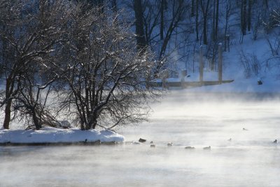 Lutz Park