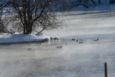 Lutz Park