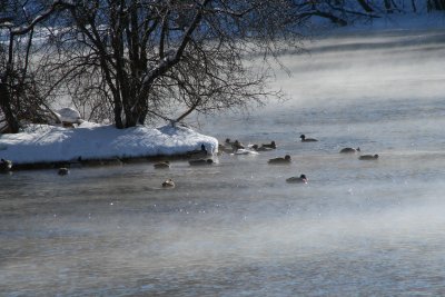 Lutz Park