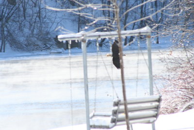 Lutz Park
