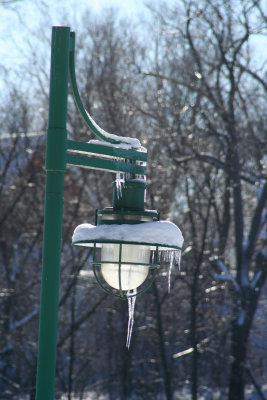 Lutz Park