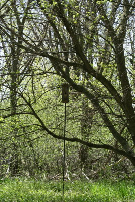 Bird House...
