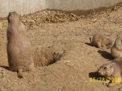 Big N' Little...