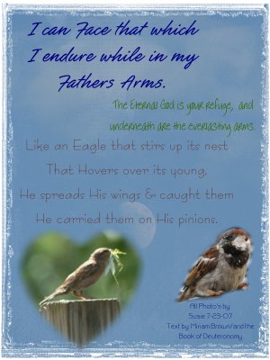 Fathers Arms...