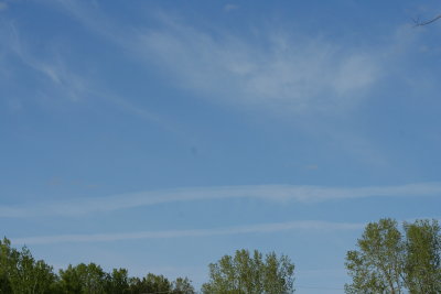 The Clouds ~ Shapes N' Sizes