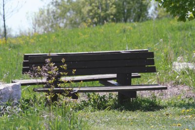 Worn Out Bench Seat...