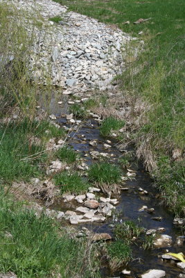 Rocky Little Creek