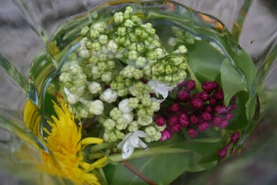 Inside the Vase...
