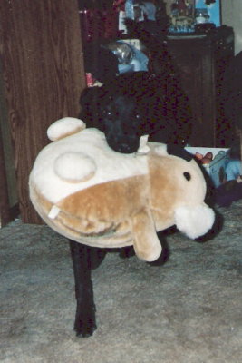 Scooby