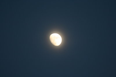 Moon a' Glow ~