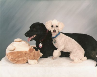 Sambo & Scooby