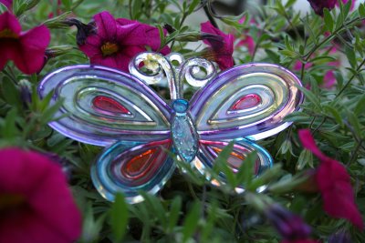 Butterfly Art