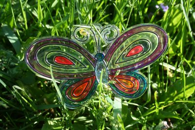 Artistic Butterfly~