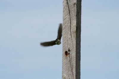 Take Off!