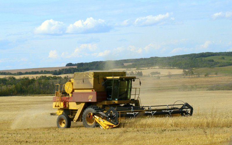 Harvest time