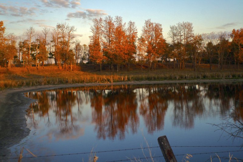 Fall is ablaze!