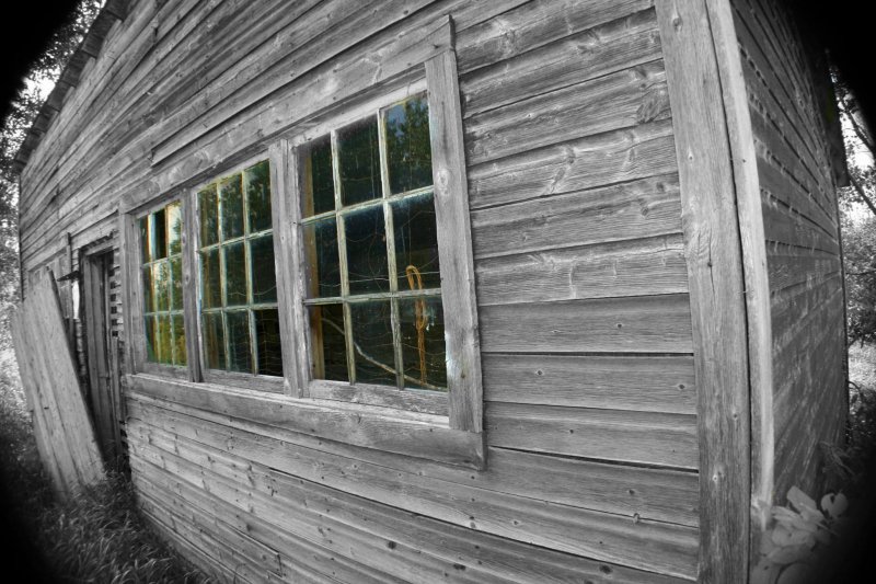 The old chicken shed