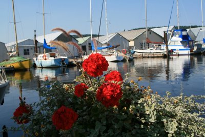 Harbor beauty