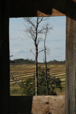 IMG_9012.JPG