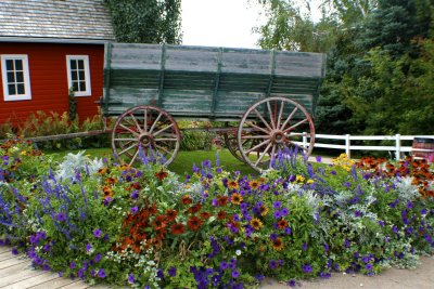 Berry Barn