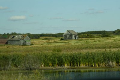 IMG_8897_2.jpg