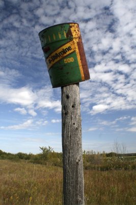 IMG_9469_2.jpg