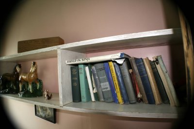 Upstairs bedroom bookshelf
