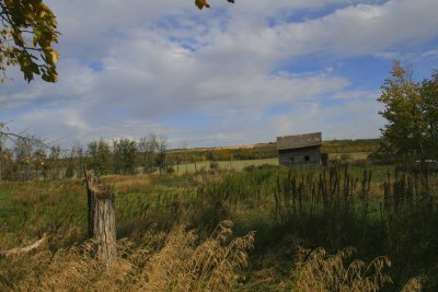 Old farm site