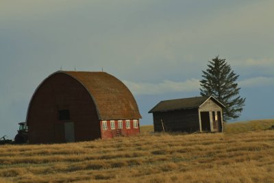 Pastoral farm scene