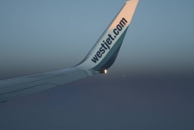 Winging home