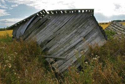 Prairie Decay