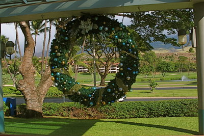 Christmas in Maui