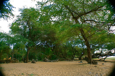 Po'olenalena Beach