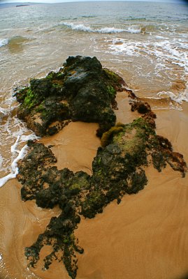 Wreath Rock