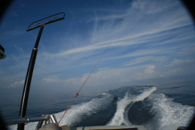 Zooming to 800 feet