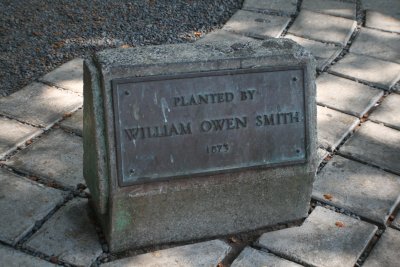 William Owen Smith
