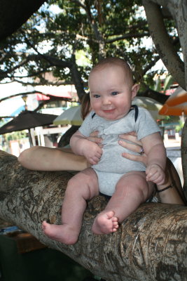 Alessio loved the Banyan Tree.