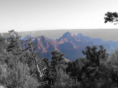 Grand Canyon BW.jpg