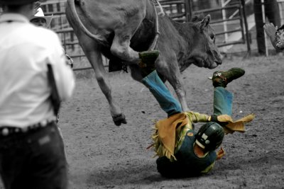 Ups and downs of rodeo