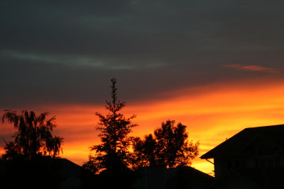 Alberta country sunset